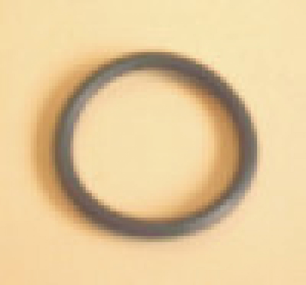 O-Ring Wassereingang