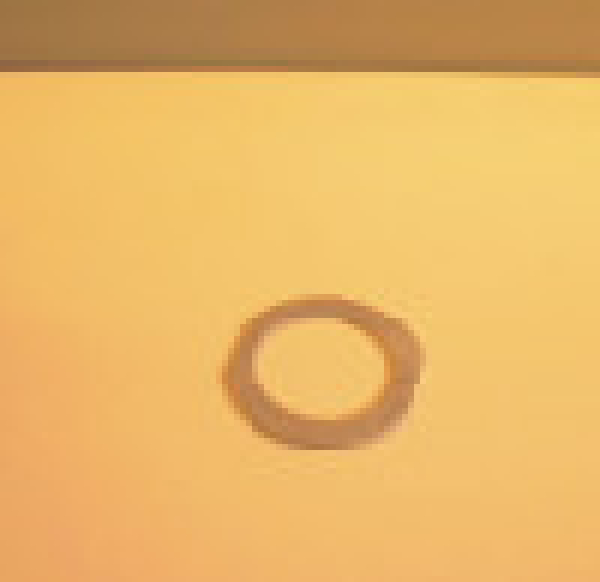 Sicherungsblech Radlagermutter