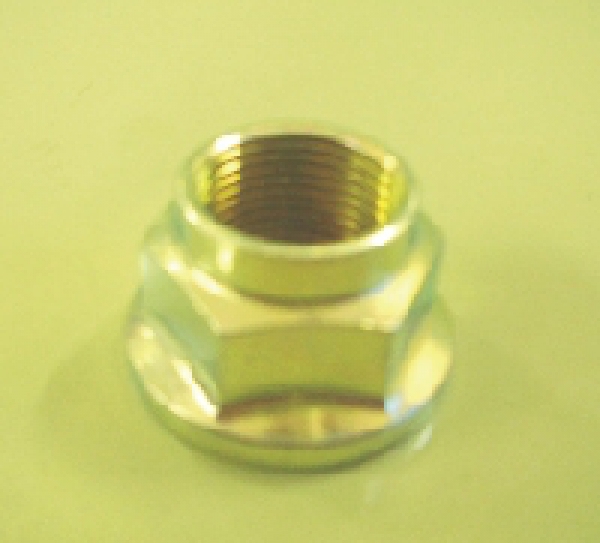 Sicherungsmutter Differential Eingang