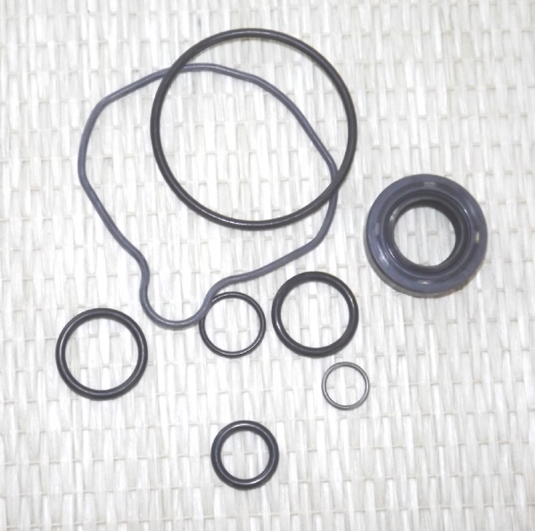 Dichtsatz Servopumpe Santana Samurai Diesel