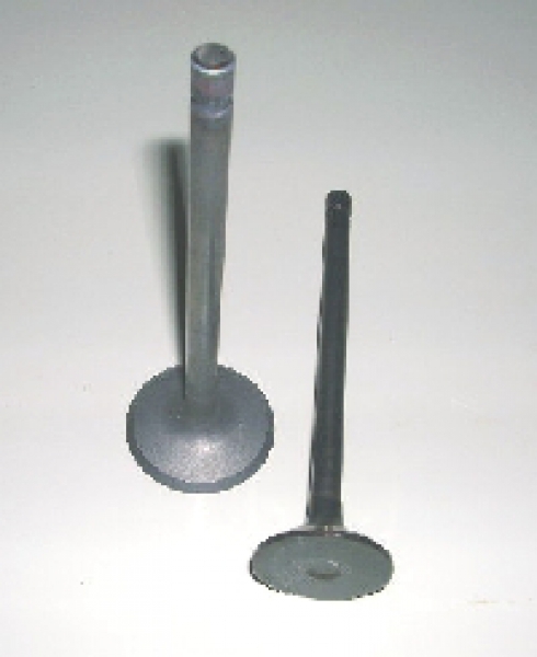 Auslaßventil SJ410