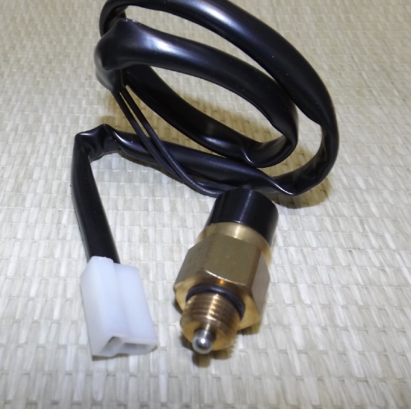 Schalter Rückwärtsgang / Differentialsperre SJ410