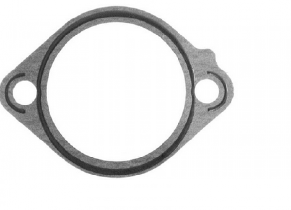 Dichtung Thermostat