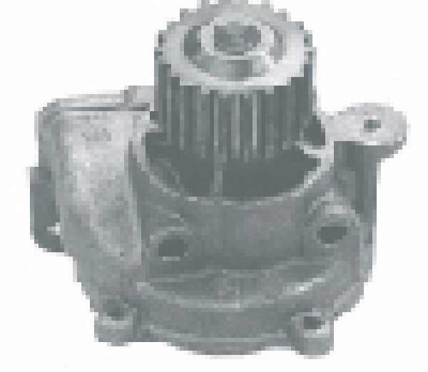 Wasserpumpe Grand Vitara / Vitara